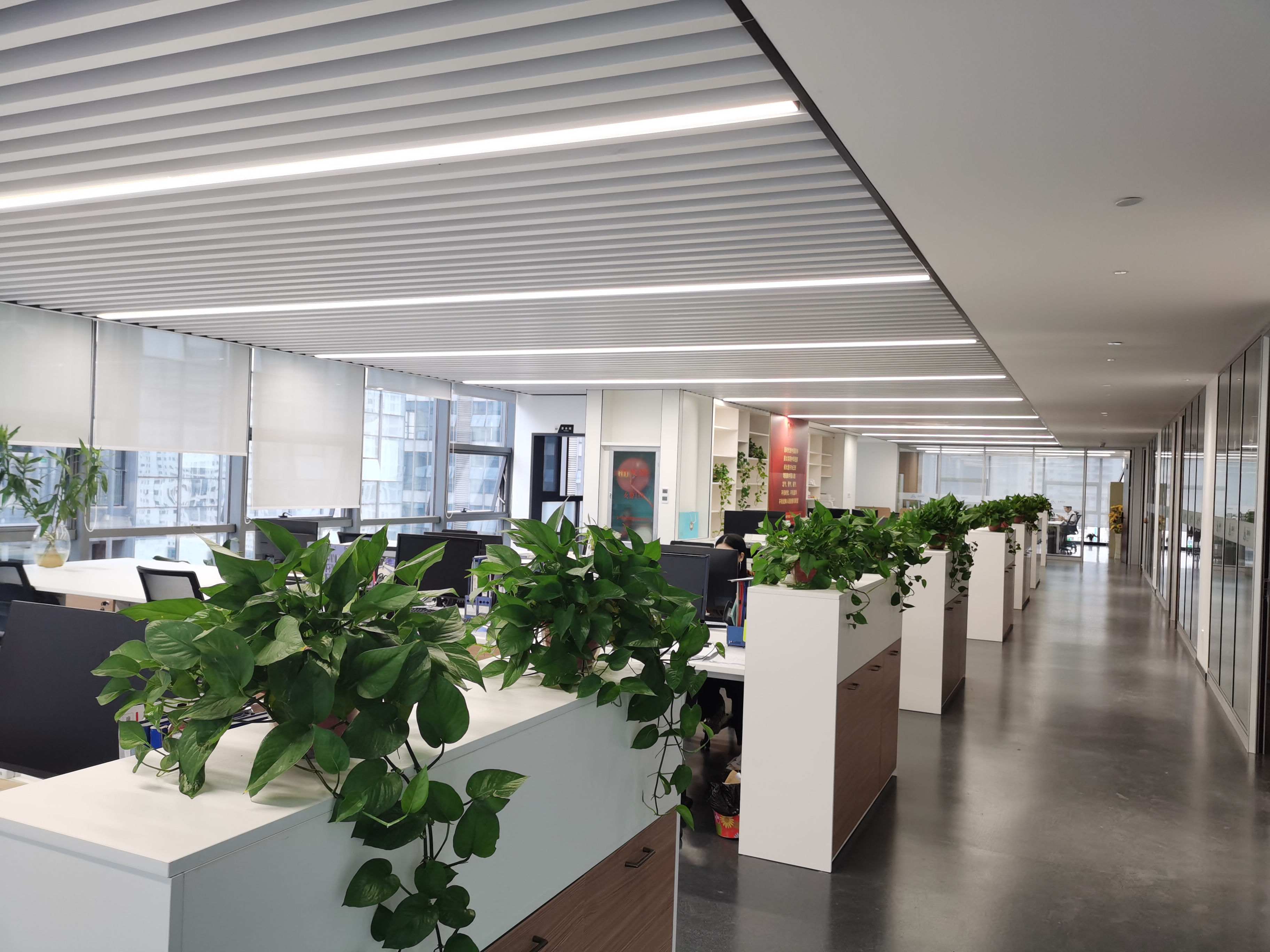 ������ʱ - �������ǲ�!